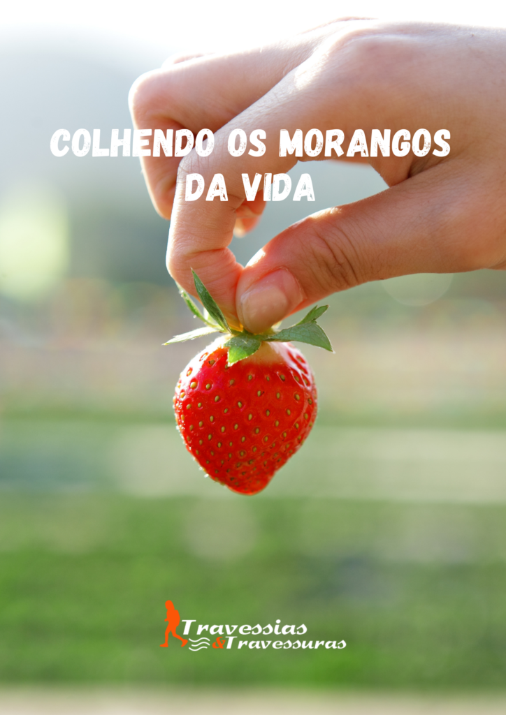 Colhendo os morangos da vida